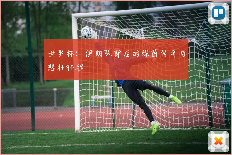 世界杯：伊朗队背后的绿茵传奇与悲壮征程