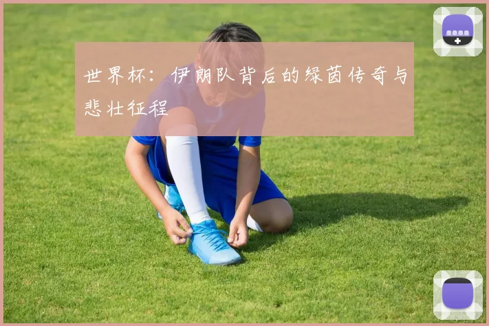 世界杯：伊朗队背后的绿茵传奇与悲壮征程