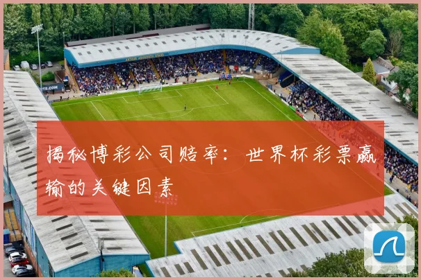 揭秘博彩公司赔率：世界杯彩票赢输的关键因素