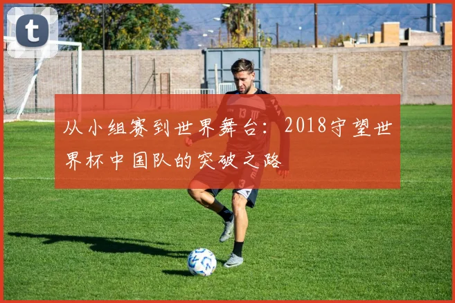 从小组赛到世界舞台：2018守望世界杯中国队的突破之路