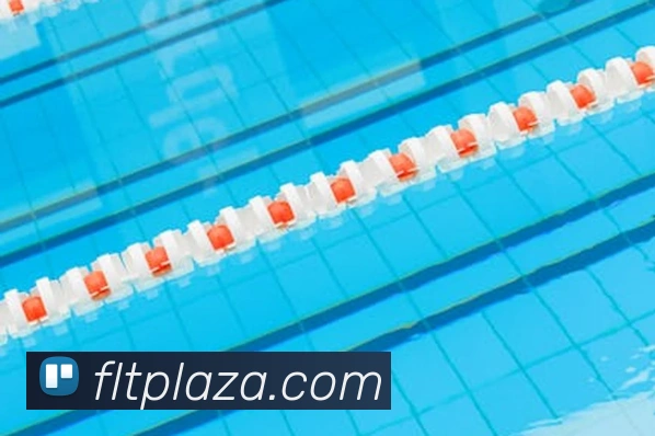 九游最新网站APP 封面图